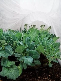 Summerweight Garden Fabric 10 Summerweight Garden Fabric -Backyard Bloomers 32644 7936 tif