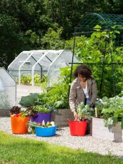 3-Season Plant Protection Tent, 3' X 6' 21 3-Season Plant Protection Tent, 3' X 6' -Backyard Bloomers 35 592 0181 1