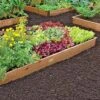 2' Raised Beds 1 2' Raised Beds -Backyard Bloomers 35639 300 1