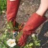 Rose Gloves -Backyard Bloomers 36874 0026 tif