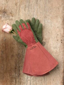 Rose Gloves -Backyard Bloomers 36874 012 tif