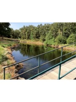 Blast, 125,000 Gallon, 12 Packets 7 Blast, 125,000 Gallon, 12 Packets -Backyard Bloomers 37425 002v 1