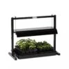 Compact Tabletop SunLite® Garden 1 Compact Tabletop SunLite® Garden -Backyard Bloomers 37817 1640 tabletop grow light 3 4