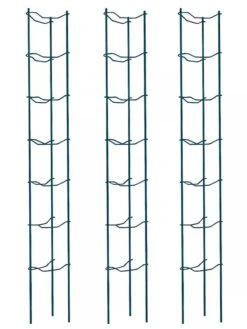 Tomato Ladders, Set Of 3 -Backyard Bloomers 38184 002E psd