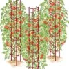 Tomato Ladders, Set Of 3 -Backyard Bloomers 38185 001E psd