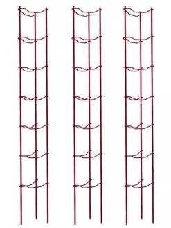 Tomato Ladders, Set Of 3 -Backyard Bloomers 38185 002E psd