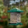 Easy View Squirrel-Proof Birdfeeder 2 Easy View Squirrel-Proof Birdfeeder -Backyard Bloomers 38356 01V tif