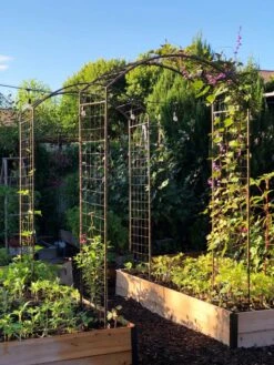 Jardin Rose Arch -Backyard Bloomers 38690 02IN tif 1