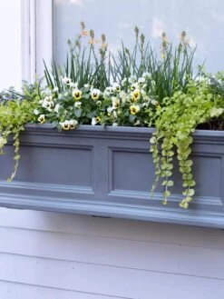 Fairfield Self-Watering Window Box, 3’ -Backyard Bloomers 39 344 9360 tif