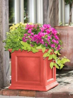 Fairfield Self-Watering Square Planter, 20” X 20” 16 Fairfield Self-Watering Square Planter, 20” X 20” -Backyard Bloomers 39 618 08477 tif