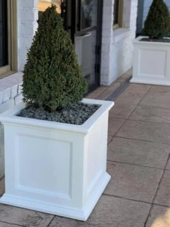 Fairfield Self-Watering Square Planter, 20” X 20” 15 Fairfield Self-Watering Square Planter, 20” X 20” -Backyard Bloomers 39 618 213V tif