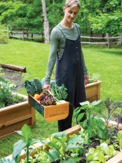 Garden Hods -Backyard Bloomers 39 761 0146 tif