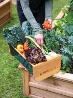 Garden Hods -Backyard Bloomers 39 761 1416 tif