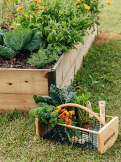 Garden Hods -Backyard Bloomers 39 761 572 tif