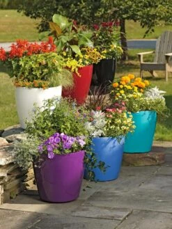 Viva Round Self-Watering Rolling Planter, 17.25” Diameter -Backyard Bloomers 39326 042 tif