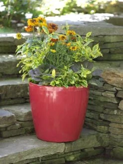 Viva Round Self-Watering Rolling Planter, 17.25” Diameter -Backyard Bloomers 39326 046 tif