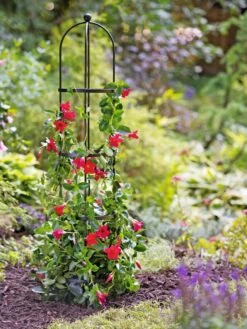 Essex Round Trellises 13 Essex Round Trellises -Backyard Bloomers 39544 2267 tif