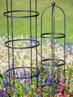 Essex Round Trellises 12 Essex Round Trellises -Backyard Bloomers 39544 4498 tif