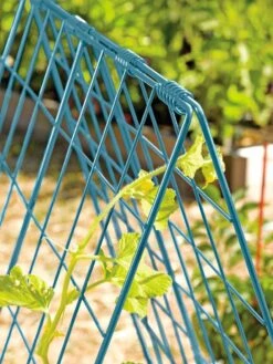 Deluxe Cucumber Trellis 14 Deluxe Cucumber Trellis -Backyard Bloomers 39806 BLUE 100 tif