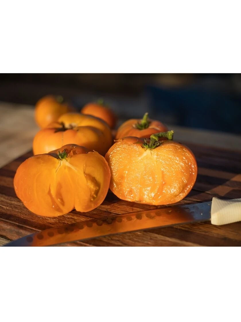 Dwarf Tomato, Uluru Ochre Organic Seeds 3 Dwarf Tomato, Uluru Ochre Organic Seeds