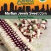 Corn, Martian Jewels Organic Seeds -Backyard Bloomers 3 4 crop 83806 8613559 Corn Martian Jewels Sweet SDSC