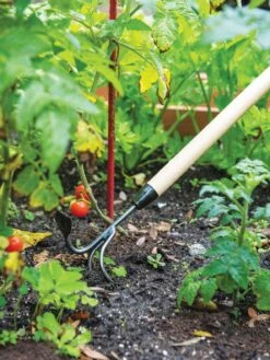Gardener's Lifetime Long-Handled Double Tool -Backyard Bloomers 3 4 crop 8592107 2460 tif