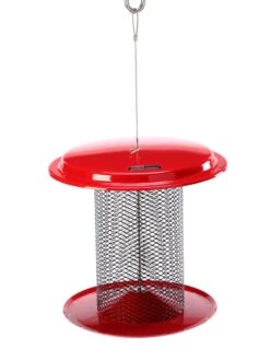 Birds Choice™ Magnet Mesh Sunflower Bird Feeder, 5 Quart 6 Birds Choice™ Magnet Mesh Sunflower Bird Feeder, 5 Quart -Backyard Bloomers 3 4 crop 8598904 09V