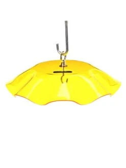 Birds Choice Weather Guard Feeder Cover -Backyard Bloomers 3 4 crop 8608735 25V