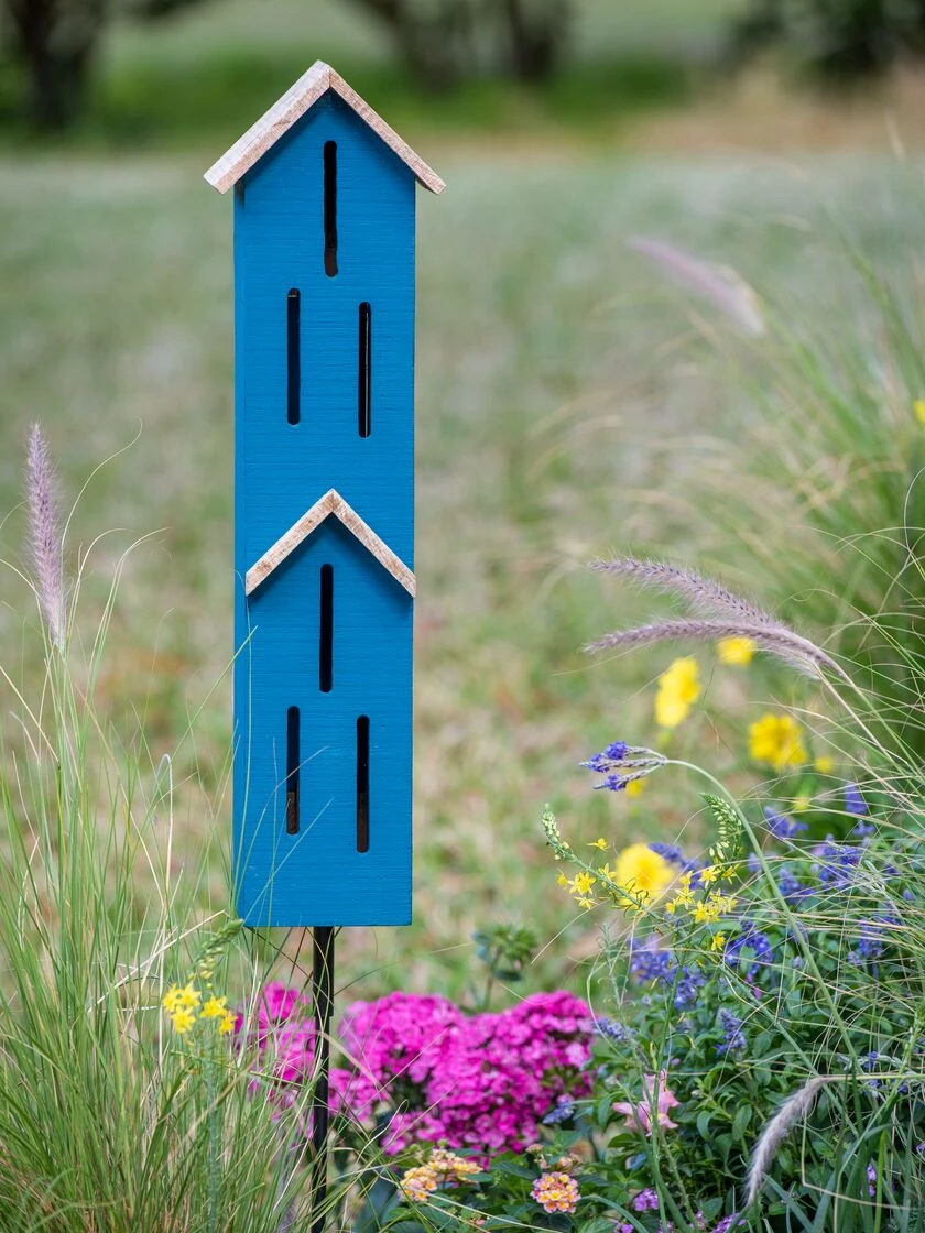 Butterfly Townhouse Shelter 6 Butterfly Townhouse Shelter - Image 4