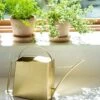 Precision Brass Watering Can 1 Precision Brass Watering Can -Backyard Bloomers 3 4 crop 8612812 0076 precision brass watering can