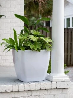 Viva Square Self-Watering Rolling Planter, 20" Diameter, Set Of 2 -Backyard Bloomers 3 4 crop 8612930 0033 tif