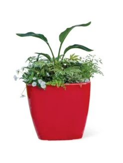 Viva Square Self-Watering Rolling Planter, 20" Diameter, Set Of 2 -Backyard Bloomers 3 4 crop 8612930 0037 tif