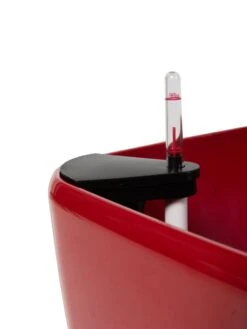 Viva Square Self-Watering Rolling Planter, 20" Diameter, Set Of 2 -Backyard Bloomers 3 4 crop 8612930 0107