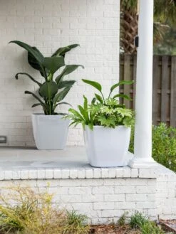 Viva Square Self-Watering Rolling Planter, 20" Diameter, Set Of 2 -Backyard Bloomers 3 4 crop 8612930 10031