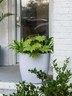 Viva Round Self-Watering Rolling Planter, 20" Diameter, Set Of 2 -Backyard Bloomers 3 4 crop 8612933 0025 tif