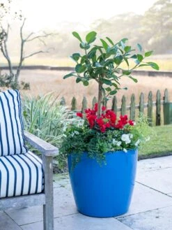 Viva Round Self-Watering Rolling Planter, 20" Diameter, Set Of 2 -Backyard Bloomers 3 4 crop 8612933 5312 tif