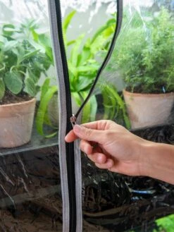 Sunlite 3-Tier Humidity Cover -Backyard Bloomers 3 4 crop 8612939 0224