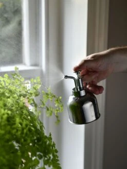 Indoor Plant Mister -Backyard Bloomers 3 4 crop 8612962 02V tif