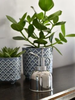 Indoor Plant Mister -Backyard Bloomers 3 4 crop 8612962 03V tif