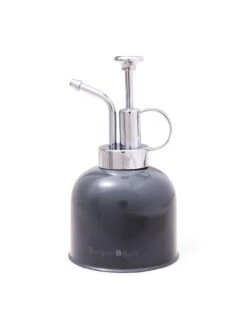 Indoor Plant Mister -Backyard Bloomers 3 4 crop 8612962 3478