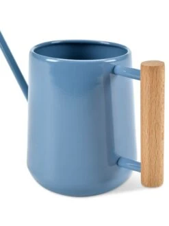 Pinpoint Indoor Watering Can 18 Pinpoint Indoor Watering Can -Backyard Bloomers 3 4 crop 8612963 04V tif