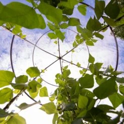 Jardin Tower -Backyard Bloomers 3 4 crop 8612997 0033