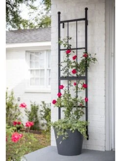 New Release 7 Essex Wall Trellis