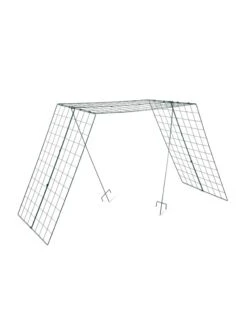 Over The Top Cucumber And Squash Trellis -Backyard Bloomers 3 4 crop 8613058 4890