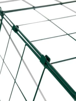 Over The Top Cucumber And Squash Trellis -Backyard Bloomers 3 4 crop 8613058 4897