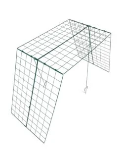 Over The Top Cucumber And Squash Trellis -Backyard Bloomers 3 4 crop 8613058 4899