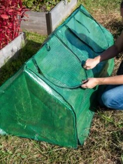 Multi Cloche -Backyard Bloomers 3 4 crop 8613213 0250