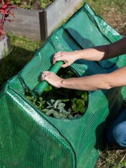 Multi Cloche -Backyard Bloomers 3 4 crop 8613213 0265