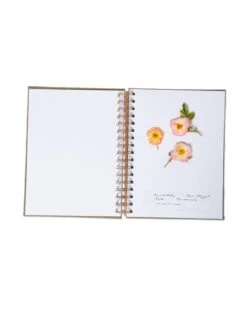 Herbarium Journal -Backyard Bloomers 3 4 crop 8613227 2987