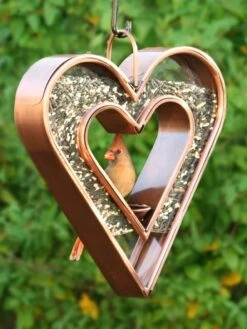 Heart Fly-Thru™ Bird Feeder -Backyard Bloomers 3 4 crop 8613534 04v